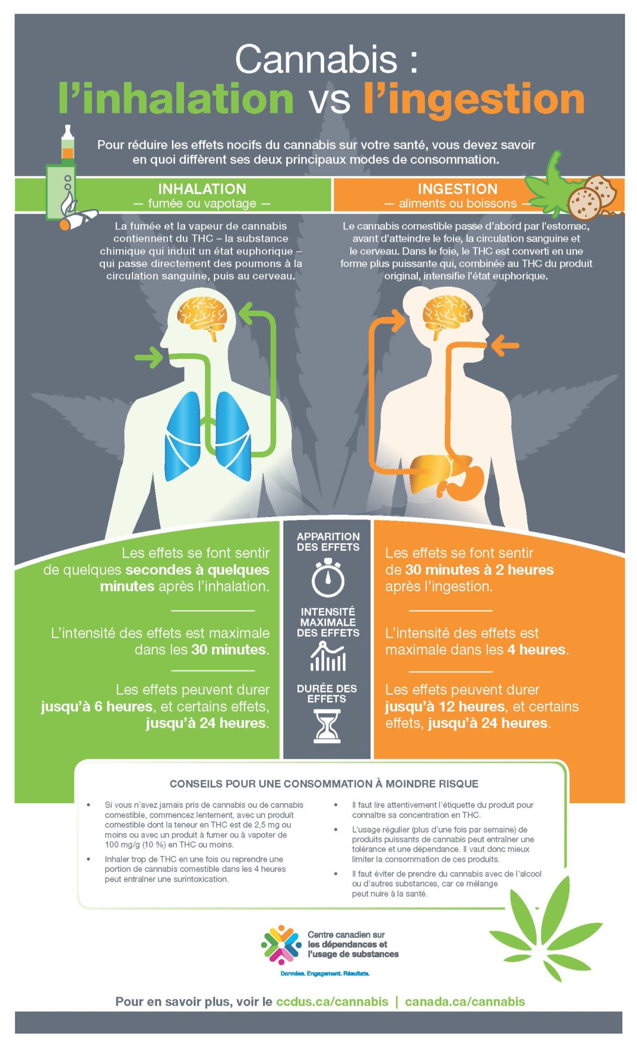 Le cannabis : inhalation c. ingestion - Know My Limits